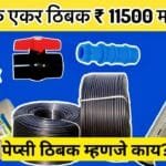 What is Pepsi Thibak