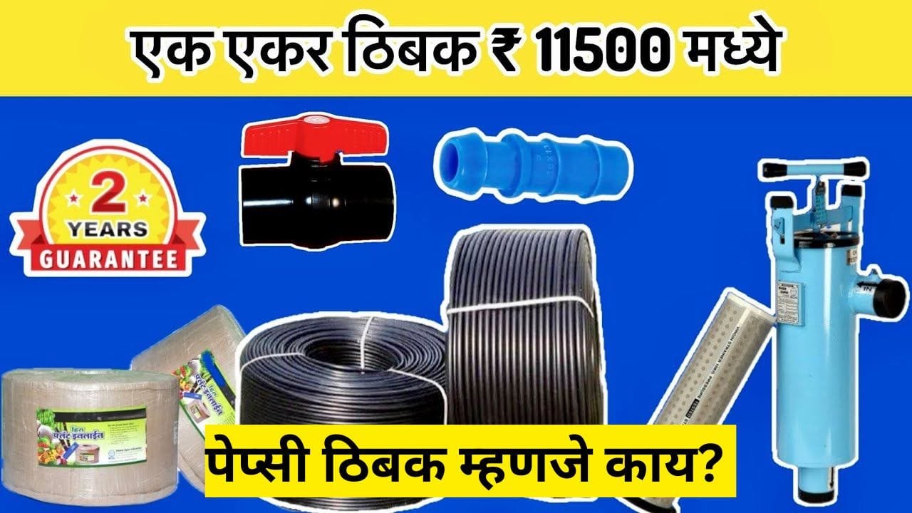 What is Pepsi Thibak