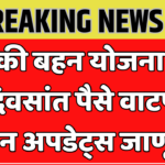 लाडकी बहीण योजना