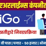 इंडिगो एअरलाईन्स भरती 2024: 12वी पास ते पदवीधरांसाठी मोठी संधी