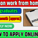Amazon work from home jobs